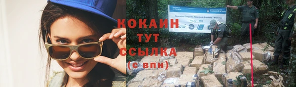 прущие крисы Абинск