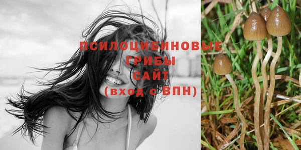 прущие крисы Абинск