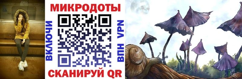 наркотики  Элиста  Галлюциногенные грибы мухоморы 